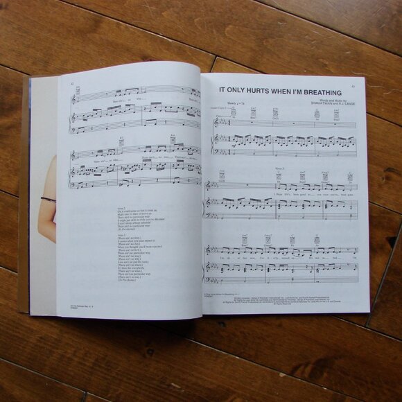 Shania Twain Up Piano Vocal Guitar Chords Sheet Music Song Book - Picture 5 of 6